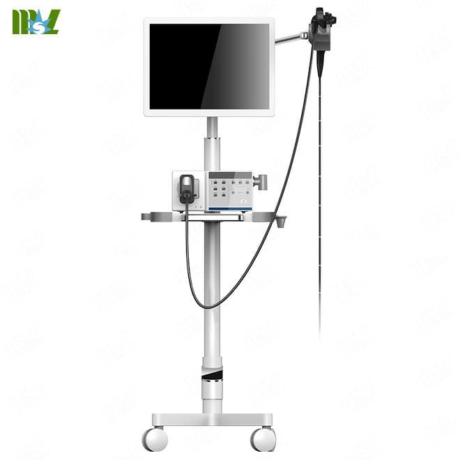 Cat & dog veterinary endoscopy cost EKONVP01