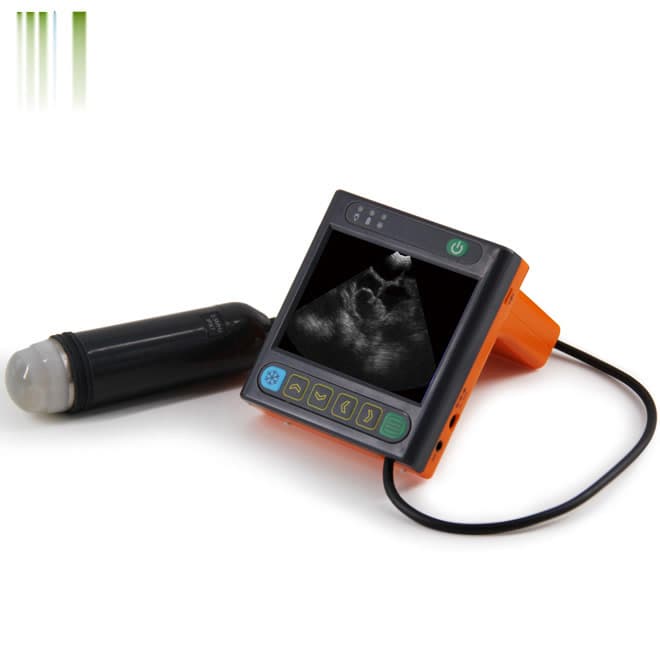 Full digital ultrasonic diagnostic instrument for vet EKONVU25