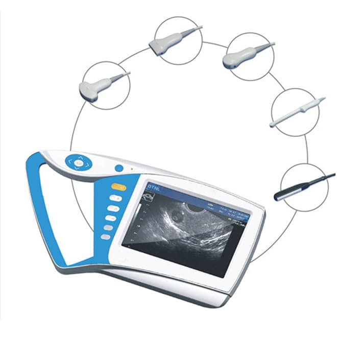 Animal ultrasound machine EKONVU28