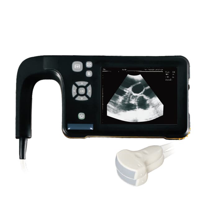 Cost effective Dog ultrasound machine EKONVU32 for sale