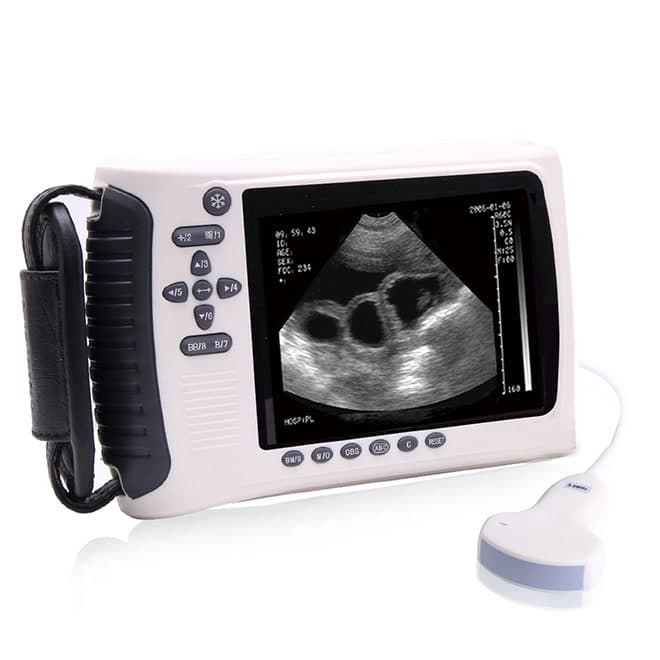 EKONVU22 Veterinary Handheld Ultrasound Scanner