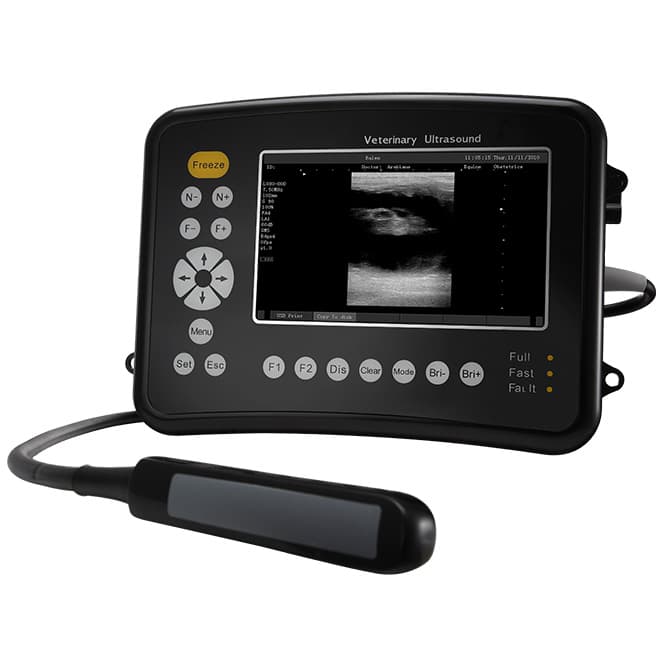 Dog ultrasound machine EKONVU26 for sale