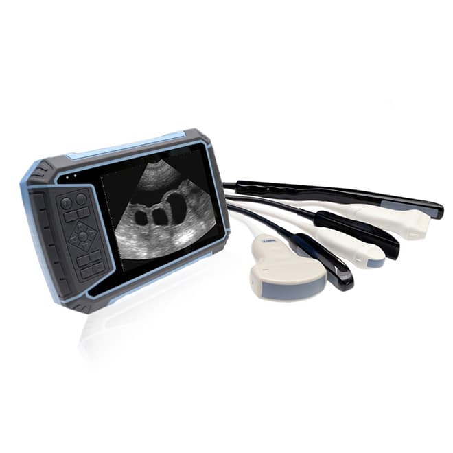 Veterinary ultrasound machine EKONVU27