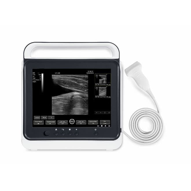 Touch Portable Veterinary Ultrasound Scanner  Machine EKONVU40