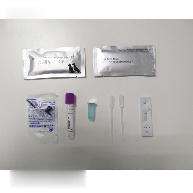 Canine & feline pregnancy detection test kit EKONDH01
