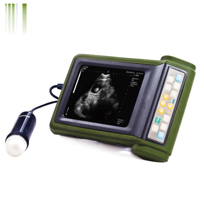 Vet Use Mechanical Sector Diagnostic Ultrasound Scanner EKONVU24