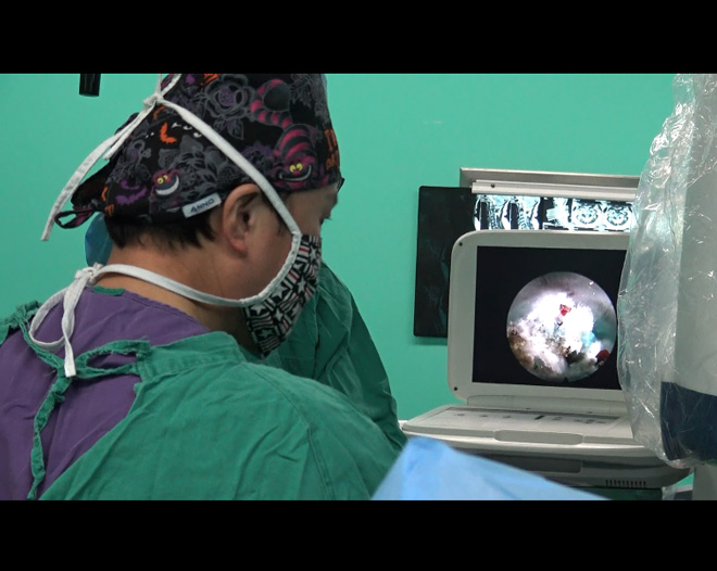 HD medical endoscope