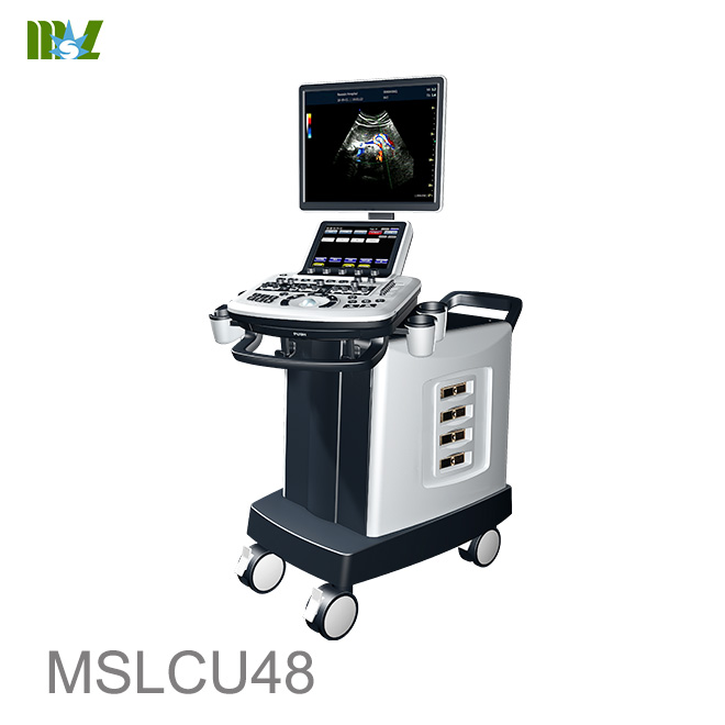 musculoskeletal ultrasound