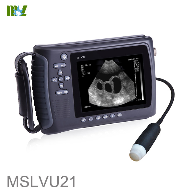 veterinary ultrasound