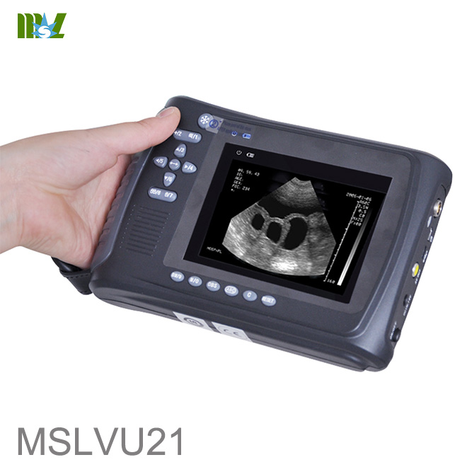 veterinary ultrasound