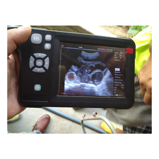 Dog ultrasound machine MSLVU30 3