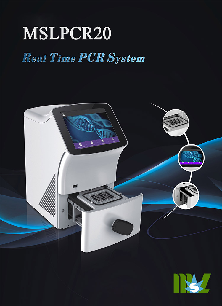 DNA Testing Thermal Cycler Clinical Analytical Instruments Real Time PCR Machine